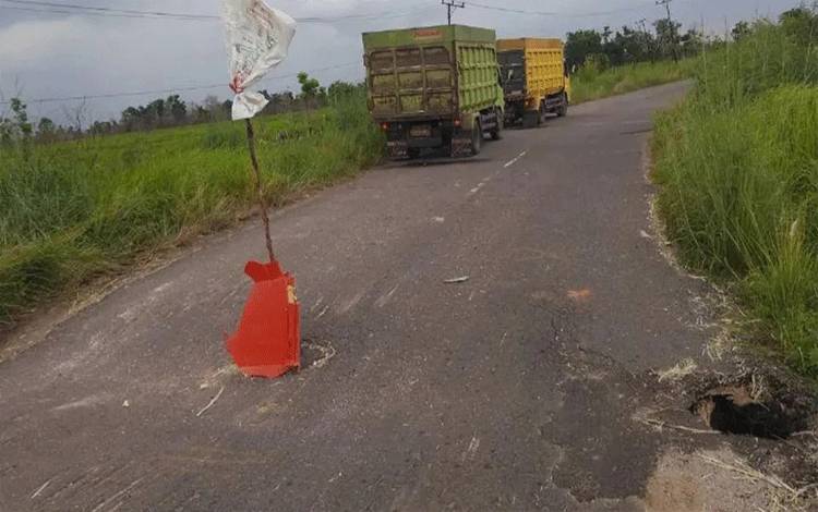 Warga Tanam Ranting di Lubang Jalan Arah Pantai Ujung Pandaran
