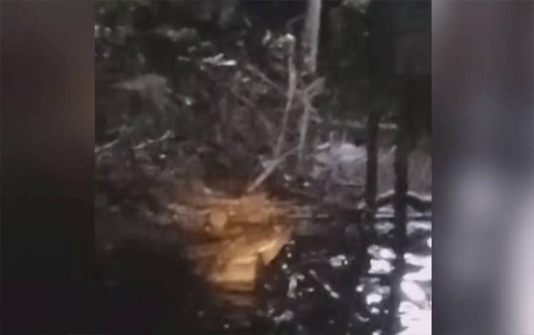 Buaya Muncul Memangsa Ular di Desa Bagendang Permai, Begini Kata Kepala BKSDA Sampit