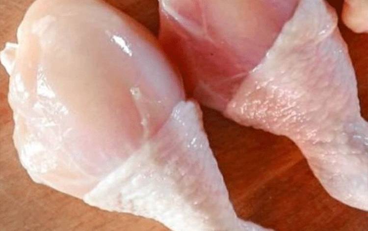 Peternak Kalteng Diingatkan Waspada Serangan Flu Burung, Terutama 2 Kabupaten ini