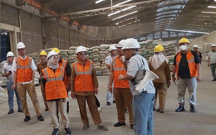 Edy Pratowo: Kalteng Miliki Potensi Pertanian dan Hortikultura