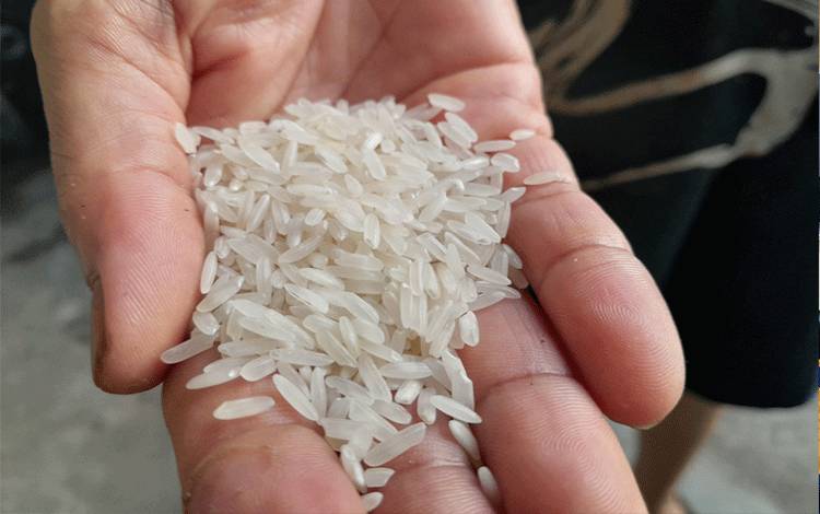 Harga Beras Lampaui HET, Akademisi UPR Bilang Begini