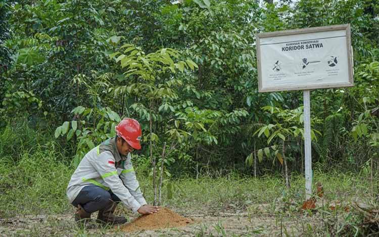PT SML Berkomitmen Jadi Solusi Upaya Pelestarian Lingkungan Hidup