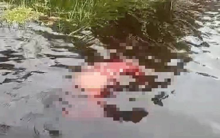 Lansia Ditemukan Tewas Mengapung di Jalan Danau Rangas