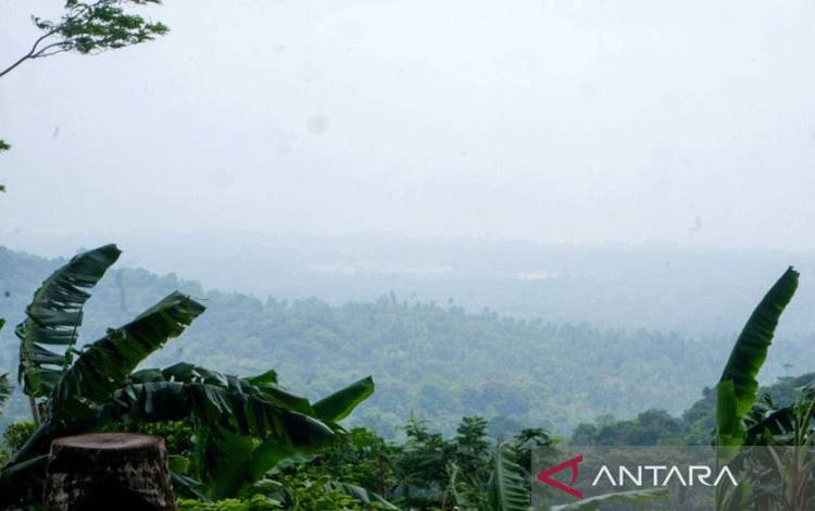 BMKG Jelaskan Fenomena Kabut Adveksi yang Selimuti Natuna