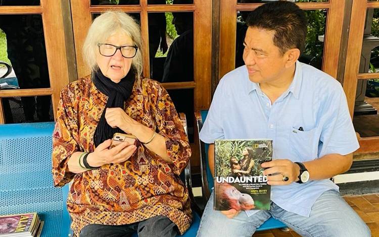 Pj Bupati Kobar Apresiasi Prof Dr Birute Puluhan Tahun Jaga Kelestarian Orangutan