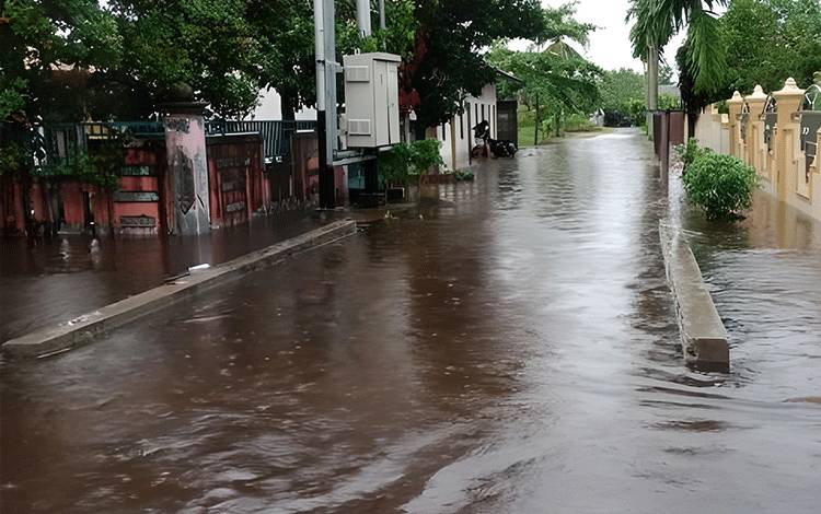 Sekda Kalteng Ingatkan Pentingnya Sektor Kesehatan saat Bencana