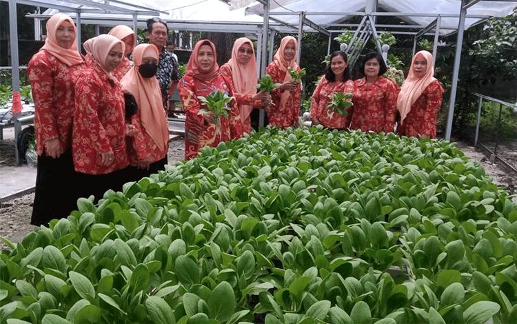 Sunarti Kalteng Apresiasi Pengembangan Hidroponik DWP Dinas TPHP