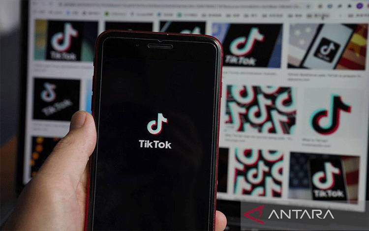 Teten Ingatkan TikTok untuk Segera Patuhi Aturan