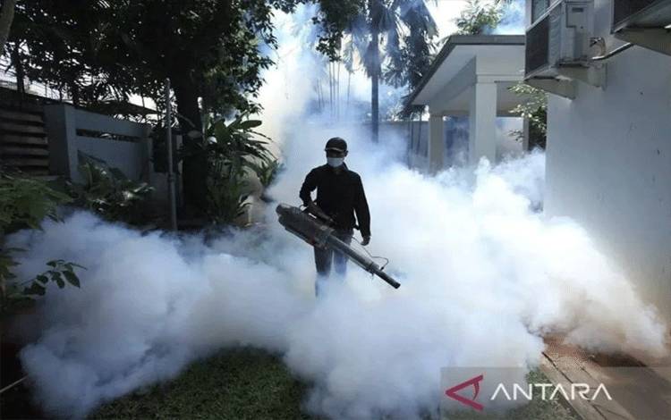 Praktisi Kesehatan: Naiknya Kasus DBD Berkaitan dengan Perubahan Cuaca