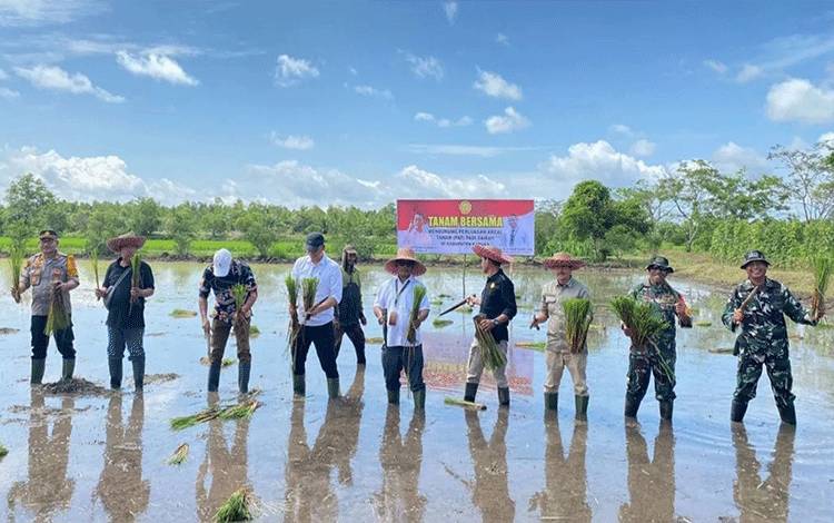 Danramil Kapuas Hilir Dukung Perluasan Areal Tanam Padi