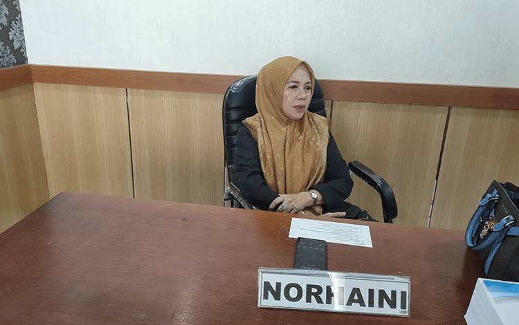 Norhaini Ajak Masyarakat Gunakan Angkutan Umum Resmi untuk Kurangi Kemacetan Selama Arus Mudik