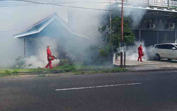 Tahun Ini 2 Warga Seruyan Meninggal Akibat Demam Berdarah