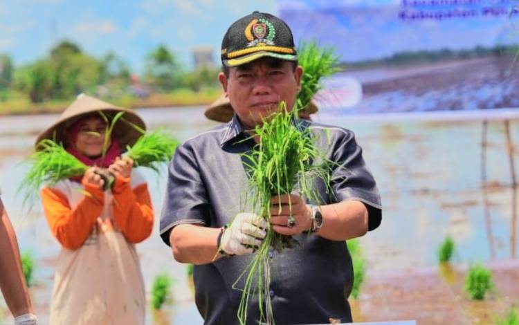 Dewan Kalteng Nilai Meningkatkan Ketahanan Pangan Mewujudkan Kemandirian