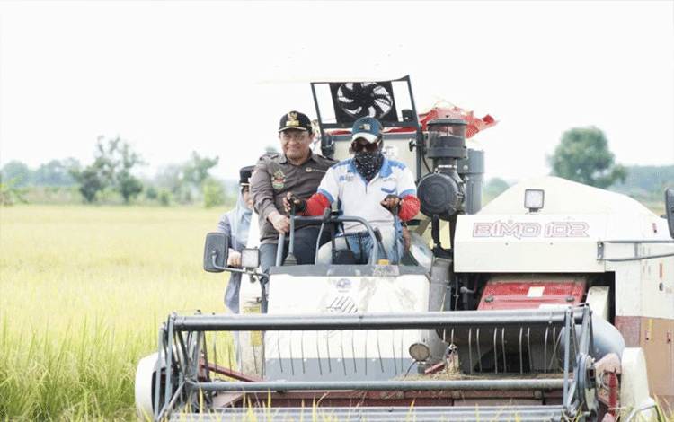 Menko Luhut Ungkap China Bersedia Kembangkan Pertanian di Kalteng