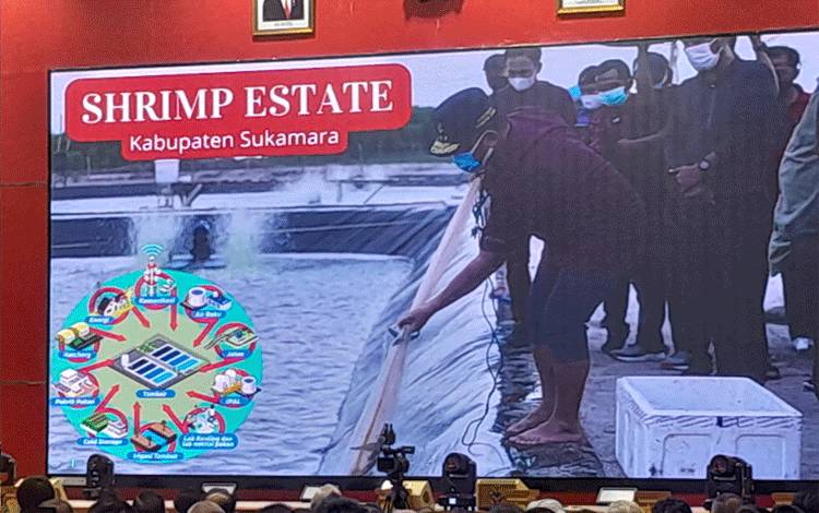 Shrimp Estate Dibangun Bertujuan untuk ini