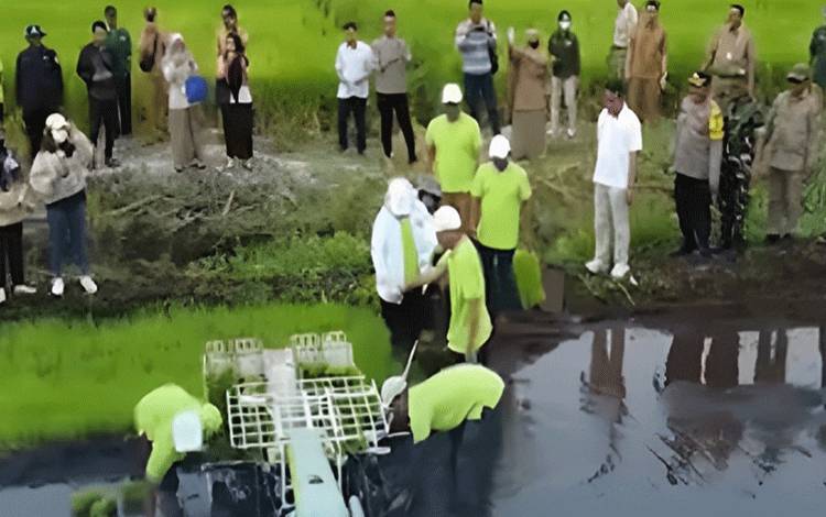 Pemko Palangka Raya Berupaya Wujudkan Sentra Produksi Pangan