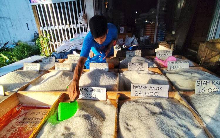 Harga Beras di Palangka Raya Stabil, Kisaran Rp15 Ribu-Rp25 Ribu per Kilogram