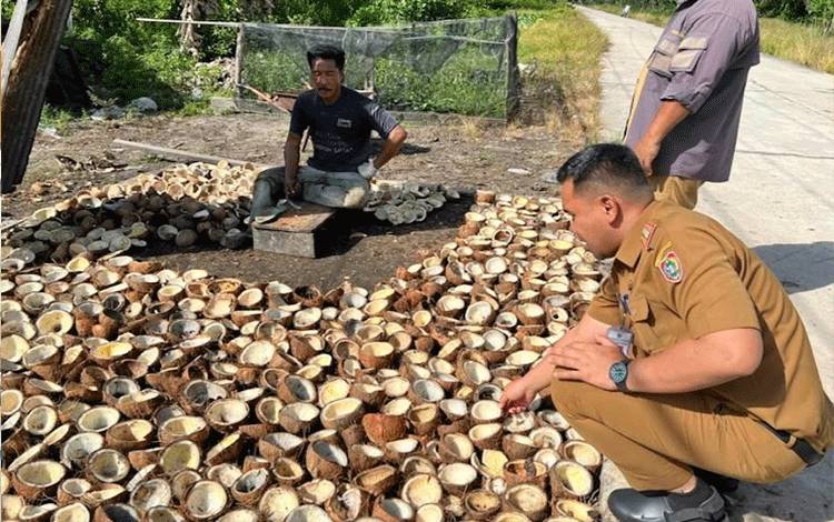Disbun Kalteng Tinjau Komoditas Kopra di Kotim
