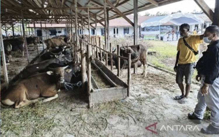 Kalteng Tingkatkan Kapasitas Juleha Dukung Kemajuan UMKM