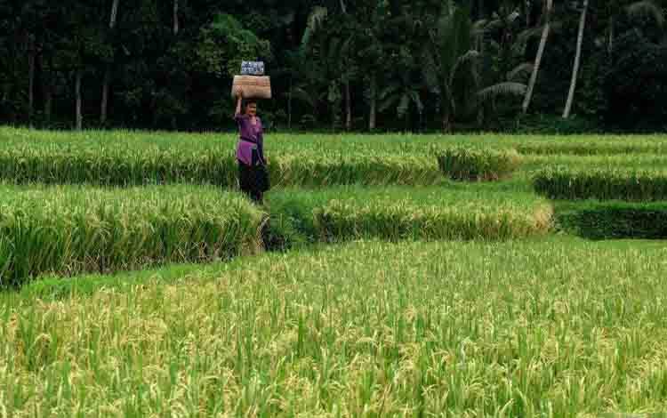 Kemenkominfo Pastikan Kesiapan Jaringan 5G selama World Water Forum