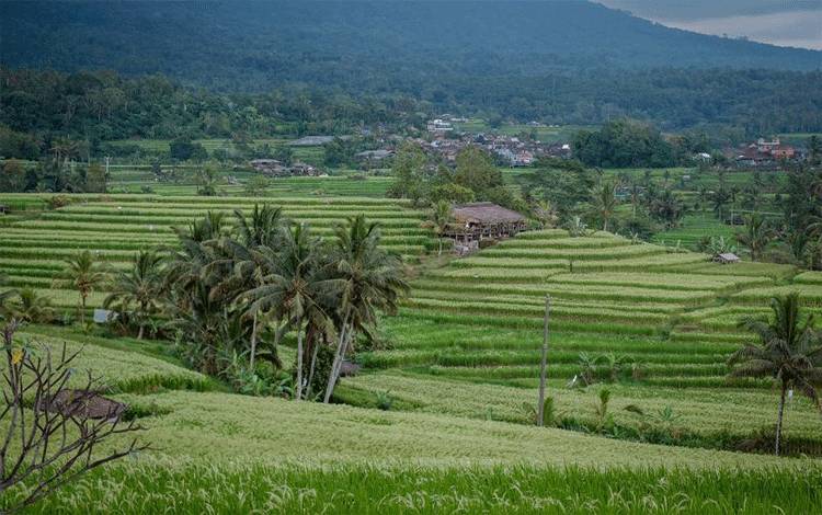 Delegasi Asing Akan Nikmati Budaya Indonesia di World Water Forum Bali