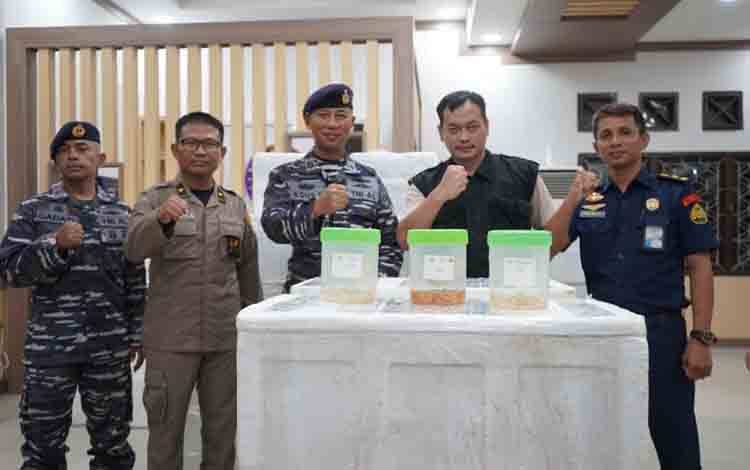 TNI AL Gagalkan Penyeludupan Baby Lobster di Perairan Tanjabtim