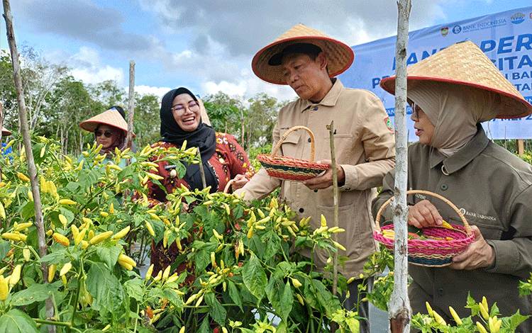 Wabup Apresiasi BI Bantu Petani di Kotim Terapkan Digital Farming