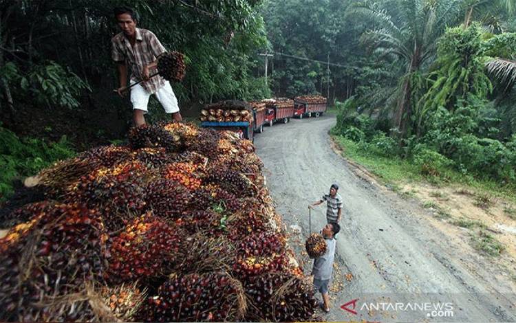 Menakar Mesin Pertumbuhan Ekonomi RI Setelah Kuartal I