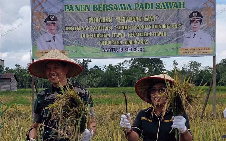 TNI Bersama Pemkab Gunung Mas Bekerja Sama Optimalisasi Lahan Rawa