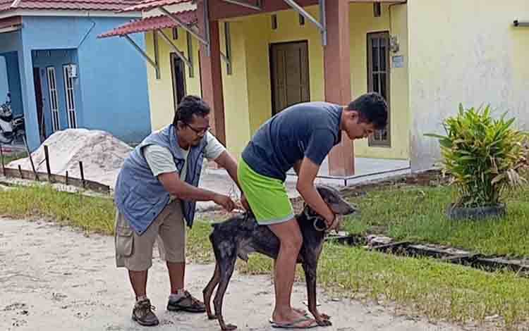 Tingkat Permintaan Vaksinasi Rabies Masyarakat Meningkat
