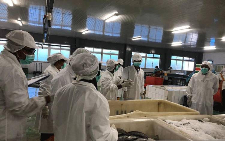 KKP Siapkan Sistem Jaminan Mutu Dukung Modeling PIT di Zona III