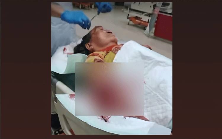 Buaya Menyerang Warga Saat Mencuci Beras Ternyata di Sungai Mentaya, Ini Kronologinya