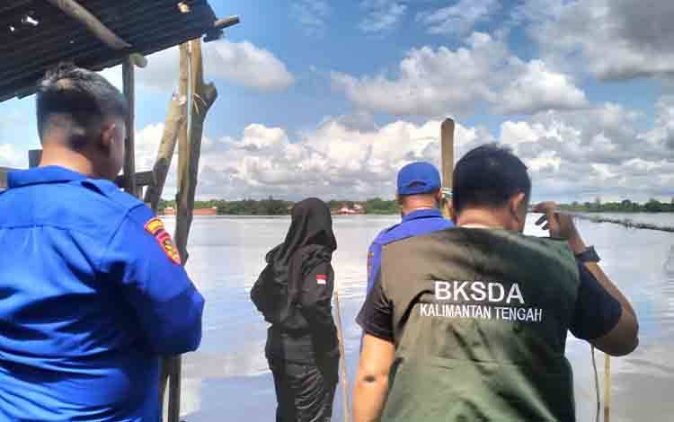 Buaya Sering Muncul di Lokasi Warga Diserang saat Mencuci Beras di Kotim