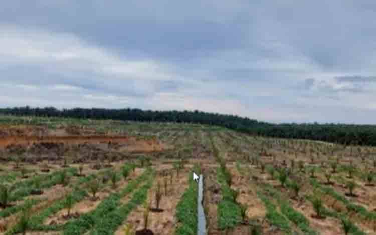 Pendapatan Laba SSMS Meningkat Rp771,73 Miliar