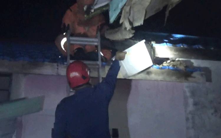 Tawon Vespa Menyerang Warga, Disdamkarmat Kotim Turun Tangan