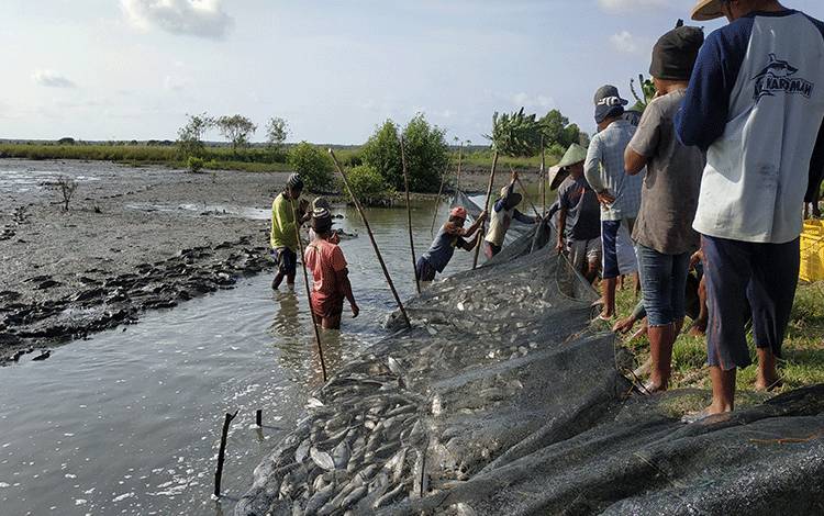 Diskan Seruyan Buat Usulan Pembangunan Jalan Kawasan Pertambakan