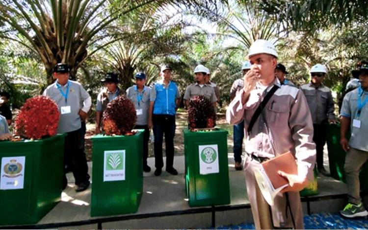 IPB Training dan BPDPKS Latih Petani Agar Dapat Tambah Pengetahuan Baru Budidaya Sawit