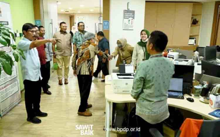 BPDPKS Organisasi di Bawah Direktur Jenderal Perbendaharaan