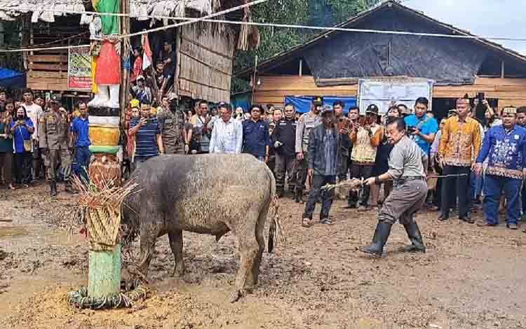 Ritual Tiwah Merupakan Kekayan Budaya dan Warisan Leluhur Umat Hindu Kaharingan