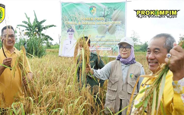 Palangka Raya Bersiap Jadi Lumbung Pangan IKN