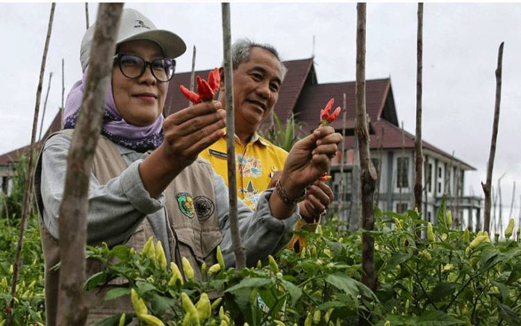 Hera Nugrahayu: Ketahanan Pangan Dimulai dari Rumah