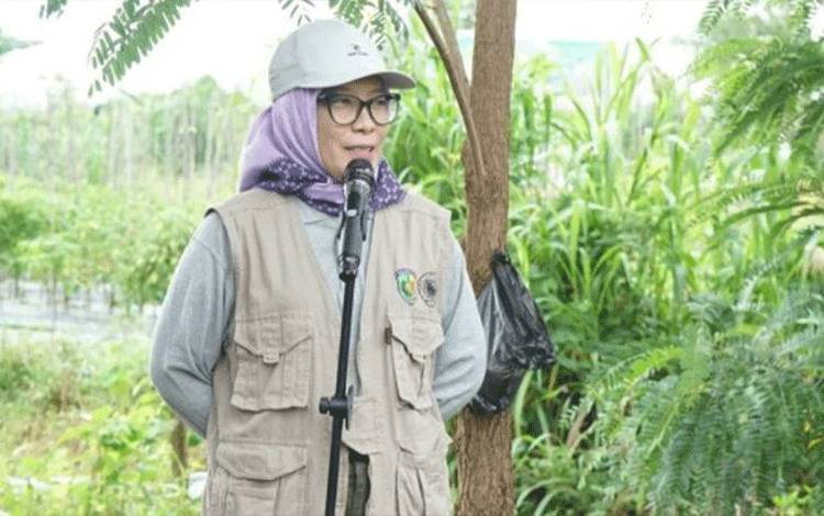 Pemko Palangka Raya Terus Benahi Infrastruktur Pertanian