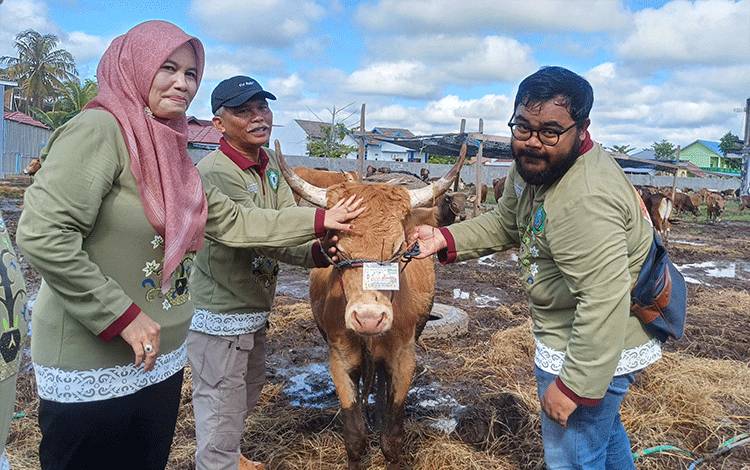 DPKP Kotim Lakukan Tes Antemortem Hewan Kurban