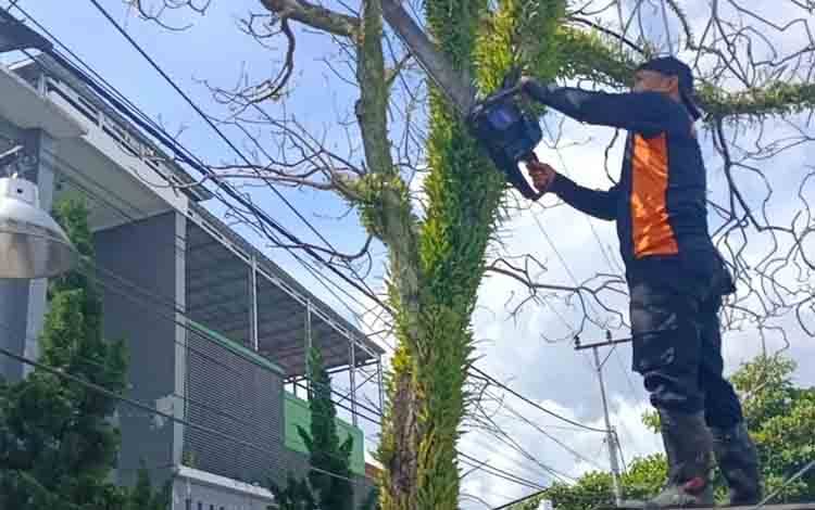 TRC BPBD Kota Palangka Raya Tangani Potensi Bahaya Pohon Mati di Jalan Rajawali VII