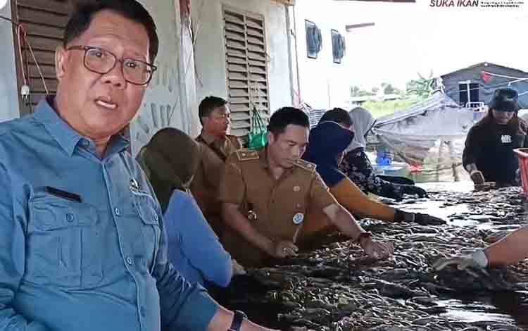 Shrimp Estate Diyakini Miliki Prospek Menjanjikan