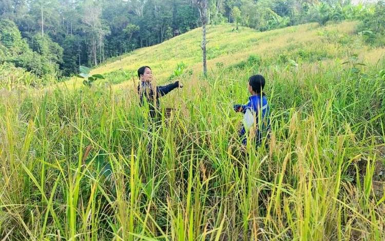 Tingkatkan Kemampuan Petani Dalam Mengelola Sektor Pertanian