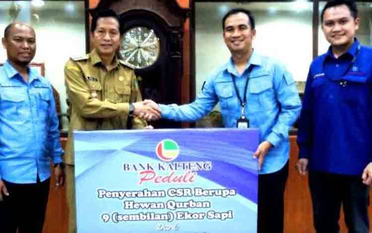Pemkab Barito Utara Terima Sembilan Sapi Kurban dari Bank Kalteng Cabang Muara Teweh