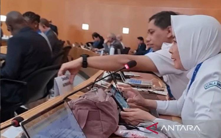 RI Tekankan PBB Harus Melakukan Aksi Nyata Mengatasi Potensi Bencana