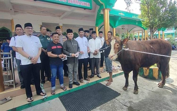Pemkab Barito Selatan Salurkan 135 Sapi Kurban
