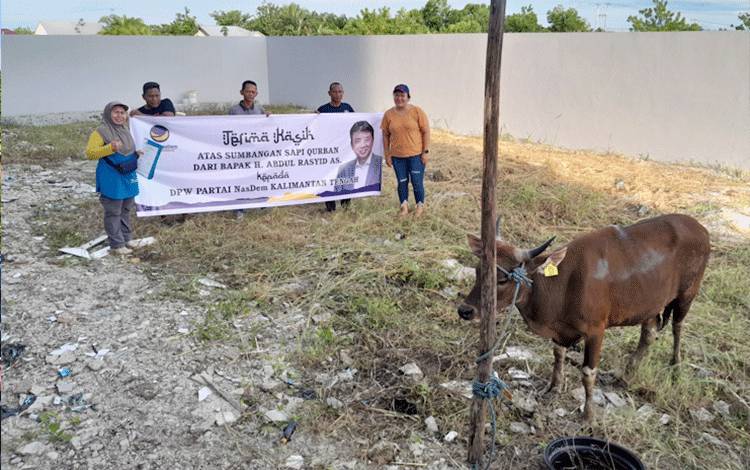 NasDem Kalteng Terima Sapi Kurban dari H Abdul Rasyid AS